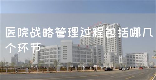 医院战略管理过程包括哪几个环节(图1) 医院战略管理过程包括哪几个环节(图1)