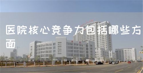 医院核心竞争力包括哪些方面(图1) 医院核心竞争力包括哪些方面(图1)