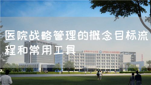 医院战略管理的概念目标流程和常用工具(图1) 医院战略管理的概念目标流程和常用工具(图1)