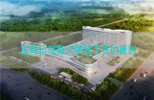 医院出现拖欠绩效工资的原因(图1) 医院出现拖欠绩效工资的原因(图1)