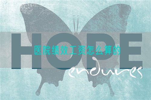 医院绩效工资怎么算的(图1)