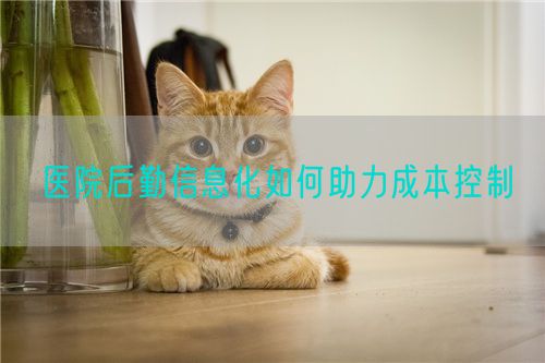 医院后勤信息化如何助力成本控制(图1) 医院后勤信息化如何助力成本控制(图1)