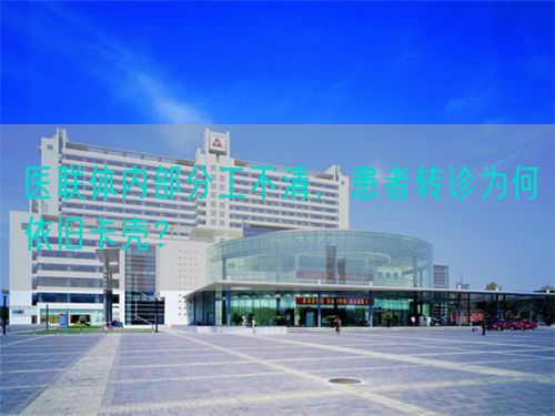 医联体内部分工不清，患者转诊为何依旧卡壳？(图1)