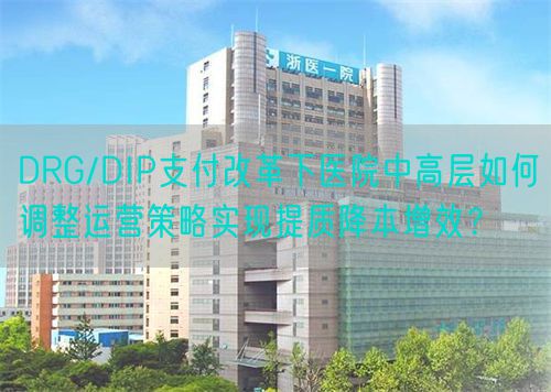 DRG/DIP支付改革下医院中高层如何调整运营策略实现提质降本增效？(图1)