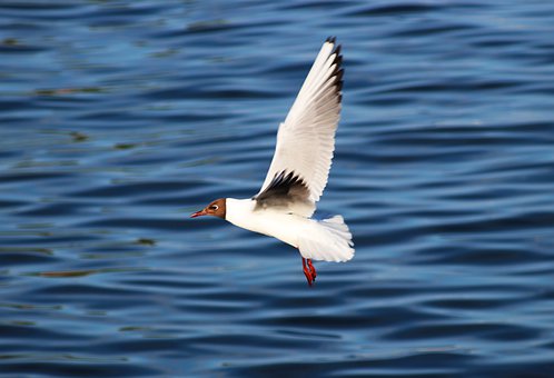 医院如何做好6S管理？医院6S管理从哪入手？(图2)